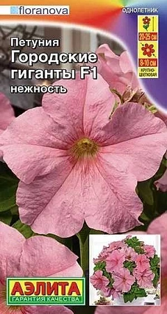 Петуния Городские гиганты F1 Нежность крупноцветковая, 7 шт (Аэлита) Петуния Городские гиганты F1 Нежность крупноцветковая, 7 шт (Аэлита)