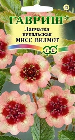 Лапчатка непальская Мисс Вильмонт 0,02 г