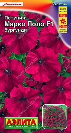 Петуния Марко Поло F1 бургунди, 7 шт (Аэлита) Петуния Марко Поло F1 бургунди, 7 шт (Аэлита)