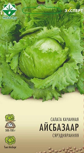 Салат Айсбазаар кочанный, 20 шт (Эксперт) (МССО) Салат Айсбазаар кочанный, 20 шт (Эксперт) (МССО)