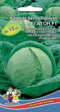 Капуста белокочанная Мегатон F1 (УД) Капуста белокочанная Мегатон F1 (УД)
