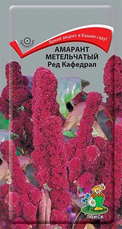 Амарант метельчатый Ред Кафедрал 0,1 г