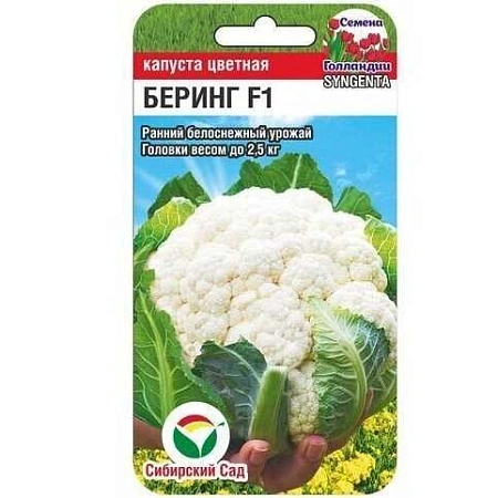 Капуста цветная Беринг F1 10 шт (Сиб Сад) Капуста цветная Беринг F1 10 шт (Сиб Сад)