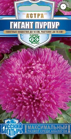 Астра Гигант пурпур игольчато-коготковая, 0,05 г (ГАВРИШ) Астра Гигант пурпур игольчато-коготковая, 0,05 г (ГАВРИШ)