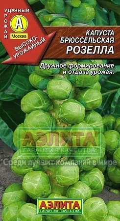 Капуста брюссельская Розелла 0,3 г (АЭЛИТА)
