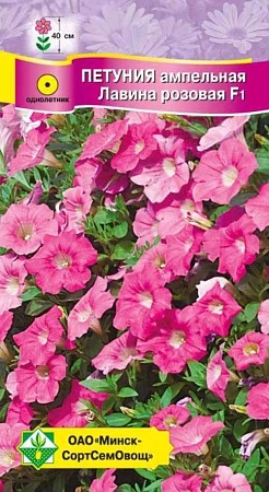Петуния гибридная ампельная Лавина розовая F1, 7 шт (МССО) Петуния гибридная ампельная Лавина розовая F1, 7 шт (МССО)