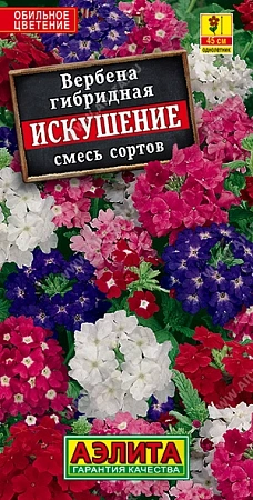 Вербена Искушение, смесь 0,1 г (АЭЛИТА) Вербена Искушение, смесь 0,1 г (АЭЛИТА)