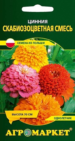 Цинния Скабиозоцветная смесь, 1 г (Агромаркет) Цинния Скабиозоцветная смесь, 1 г (Агромаркет)