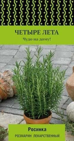 Розмарин лекарственный Росинка, 10 шт (Поиск)