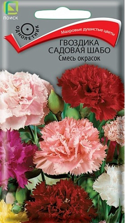 Гвоздика садовая Шабо смесь окрасок, 0,3 г (Поиск)
