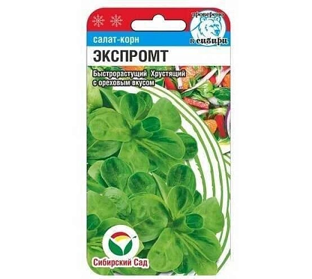 Салат Корн Экспромт 0,5гр (Сиб Сад) Салат Корн Экспромт 0,5гр (Сиб Сад)