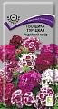 Гвоздика турецкая Индийский ковер 0,3 г (Поиск) Гвоздика турецкая Индийский ковер 0,3 г (Поиск)