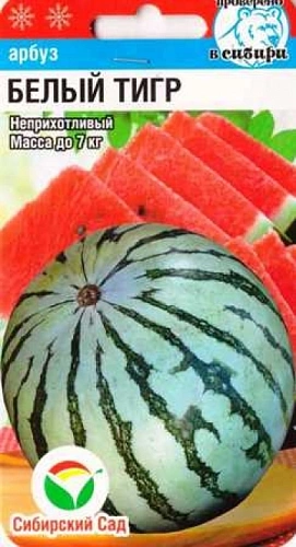 Арбуз Белый тигр 5 шт Арбуз Белый тигр 5 шт
