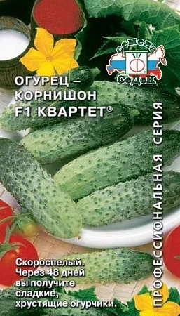 Огурец Корнишон F1 квартет