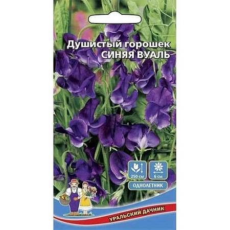 Душистый горошек Синяя вуаль, 10 шт (УД)