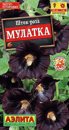 Шток-роза Мулатка, 10 шт (Аэлита)