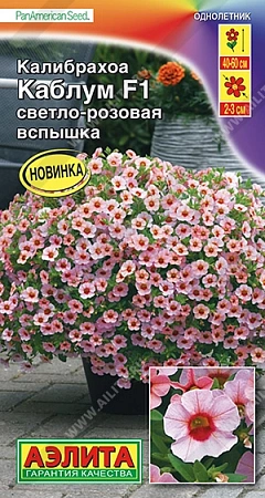 Калибрахоа Каблум F1 светло-розовая вспышка 3 шт Калибрахоа Каблум F1 светло-розовая вспышка 3 шт