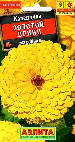 Календула Золотой принц 0,3 г (АЭЛИТА) Календула Золотой принц 0,3 г (АЭЛИТА)