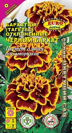 Бархатцы Черный бархат отклоненные 0,1 г