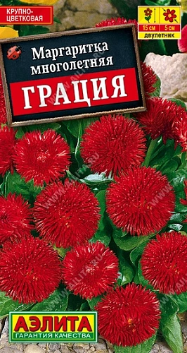 Маргаритка Грация крупноцветковая, 0,1 г Маргаритка Грация крупноцветковая, 0,1 г