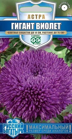 Астра Гигант Виолет 0,05 г игольчато-коготковая (ГАВРИШ) Астра Гигант Виолет 0,05 г игольчато-коготковая (ГАВРИШ)