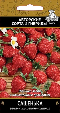 Земляника Сашенька ремонтантная, 100 шт (Поиск)