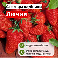 Клубника Лючия Клубника Лючия