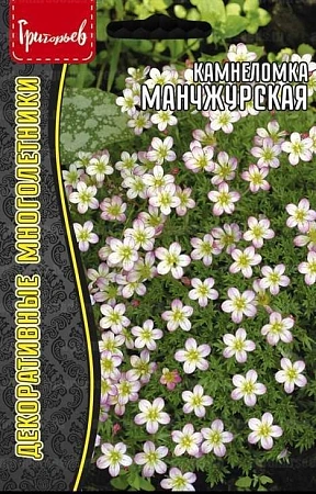 Камнеломка Манчжурская, 0,01 г (Ред.Сем)