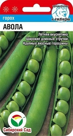 Горох Авола, 20 шт (Сиб Сад)