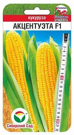 Кукуруза Акцентуэта F1, 5 шт (Сиб Сад)