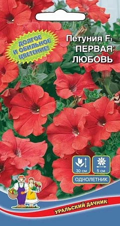 Петуния Первая любовь F1 (УД) Петуния Первая любовь F1 (УД)