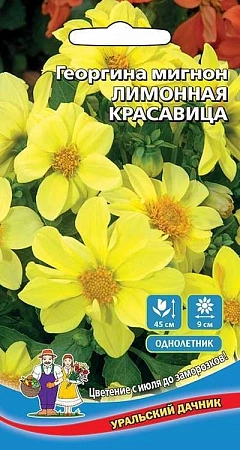 Георгина мигнон Лимонная красавица 0,2 г (УД)