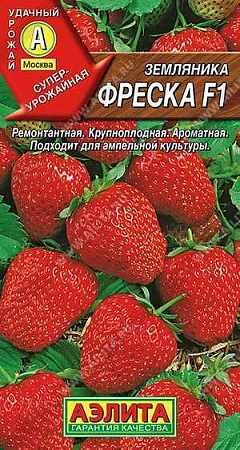 Земляника Фреска F1 ремонтантная крупноплодная 10 шт