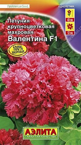 Петуния Валентина F1 10 шт Петуния Валентина F1 10 шт