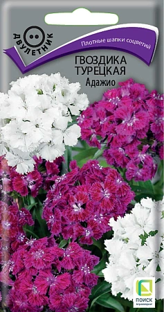 Гвоздика турецкая Адажио, 0,3 г (Поиск) Гвоздика турецкая Адажио, 0,3 г (Поиск)