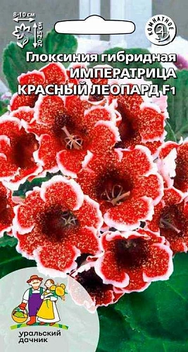 Глоксиния Императрица F1 красный леопард гибридная (УД) Глоксиния Императрица F1 красный леопард гибридная (УД)