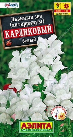 Львиный зев Карликовый белый, 10 шт