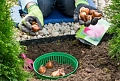 Корзина для посадки луковичных цветов Корзина для посадки луковичных цветов