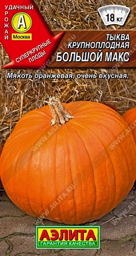 Тыква крупноплодная Большой макс 1 г Тыква крупноплодная Большой макс 1 г