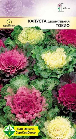 Капуста декоративная Токио, смесь 0,2 г (МССО) Капуста декоративная Токио, смесь 0,2 г (МССО)