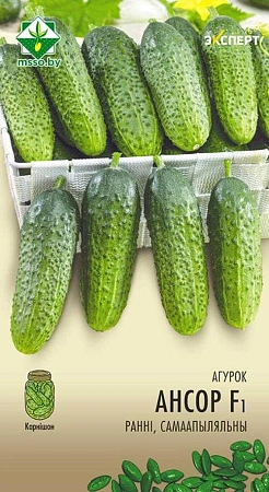 Огурец Ансор F1, 10 шт (Эксперт) (МССО) Огурец Ансор F1, 10 шт (Эксперт) (МССО)