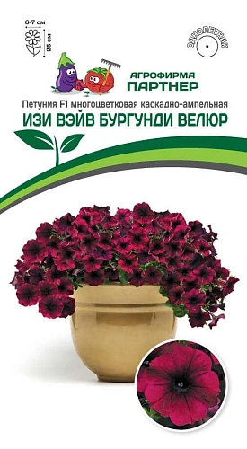 Петуния Изи вэйв бургунди велюр F1 (5 шт в амп), ПАРТНЕР Петуния Изи вэйв бургунди велюр F1 (5 шт в амп), ПАРТНЕР