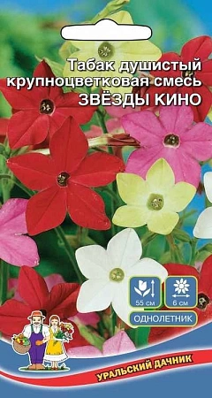 Табак душистый Звезды Кино, смесь (УД) Табак душистый Звезды Кино, смесь (УД)