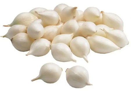 Лук-севок Сноуболл, 1 кг