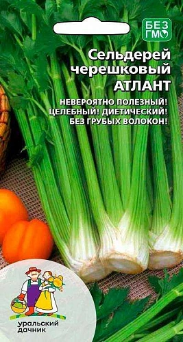 Сельдерей Атлант черешковый (УД) Сельдерей Атлант черешковый (УД)