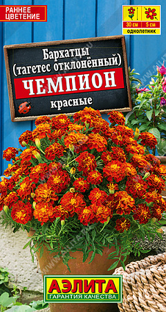 Бархатцы Чемпион красные отклоненные, 0,1 г (Аэлита)