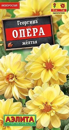 Георгина Опера желтая, 7 шт (АЭЛИТА)