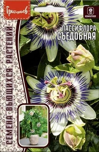 Пассифлора Съедобная, 5 шт (Ред.Сем) Пассифлора Съедобная, 5 шт (Ред.Сем)