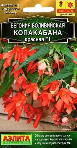 Бегония боливийская Копакабана F1 красная, 5 шт (Аэлита) Бегония боливийская Копакабана F1 красная, 5 шт (Аэлита)