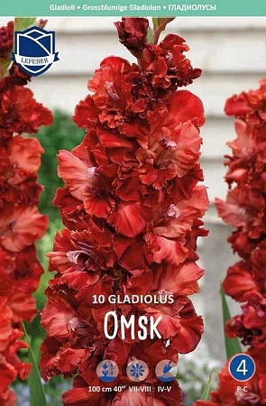 Гладиолус Omsk, 10 шт (Lefeber)